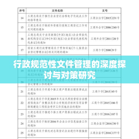 行政規范性文件管理的深度探討與對策研究