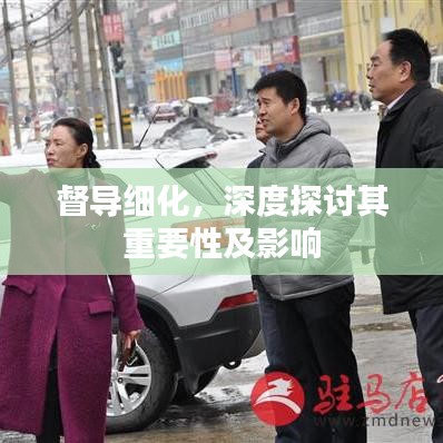 督導(dǎo)細(xì)化,深度探討其重要性及影響