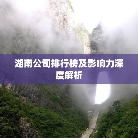 湖南公司排行榜及影響力深度解析