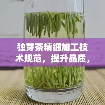 獨芽茶精細加工技術規范，提升品質，百度收錄必備指南