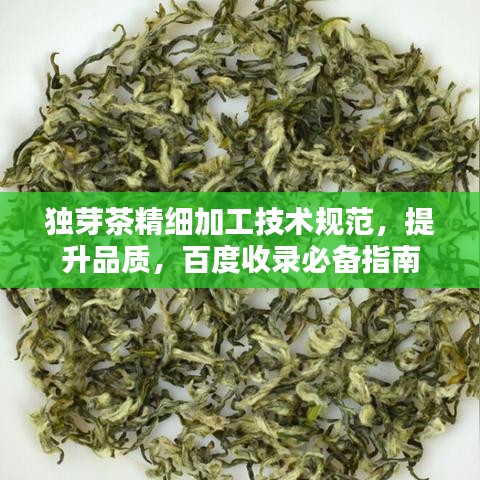 獨芽茶精細加工技術規范,提升品質,百度收錄必備指南
