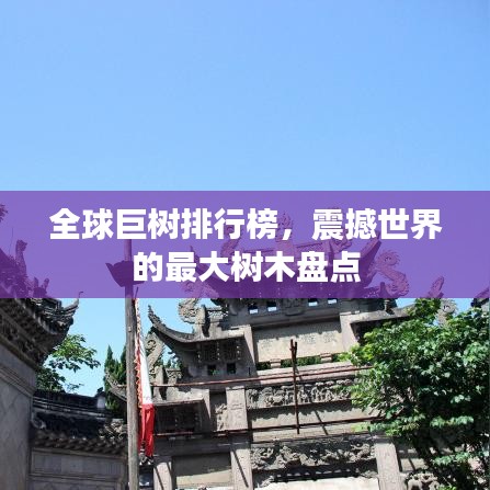 全球巨樹排行榜，震撼世界的最大樹木盤點(diǎn)