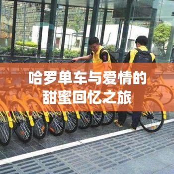 哈羅單車與愛情的甜蜜回憶之旅