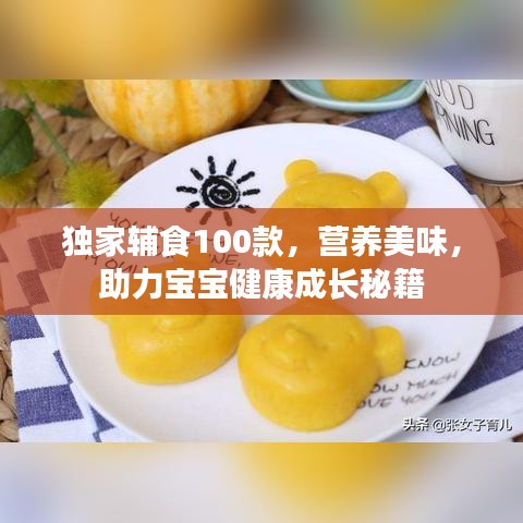 獨(dú)家輔食100款，營(yíng)養(yǎng)美味，助力寶寶健康成長(zhǎng)秘籍