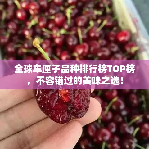 兵貴神速 第2頁