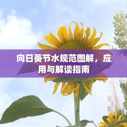 向日葵節水規范圖解,應用與解讀指南