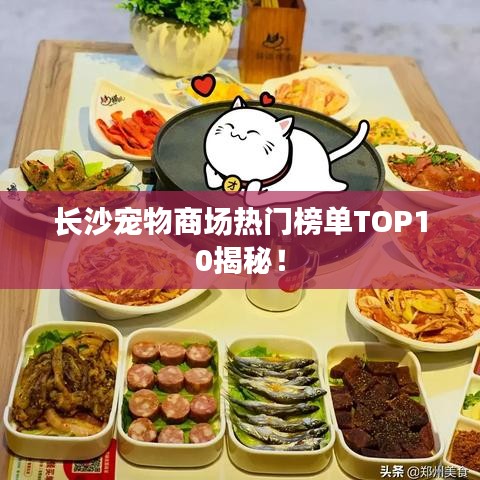 長沙寵物商場熱門榜單TOP10揭秘!