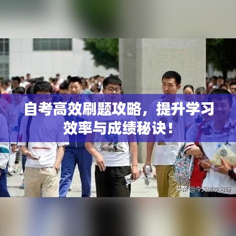 自考高效刷題攻略，提升學習效率與成績秘訣！