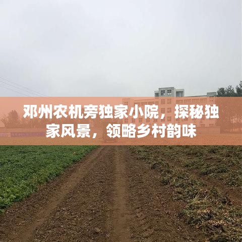 鄧州農機旁獨家小院,探秘獨家風景,領略鄉村韻味
