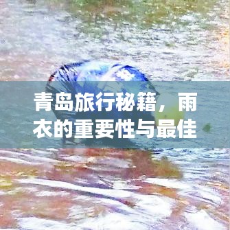 青島旅行秘籍,雨衣的重要性與最佳體驗攻略