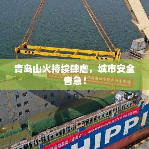 青島山火持續肆虐,城市安全告急!