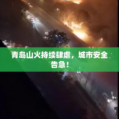 青島山火持續肆虐，城市安全告急！
