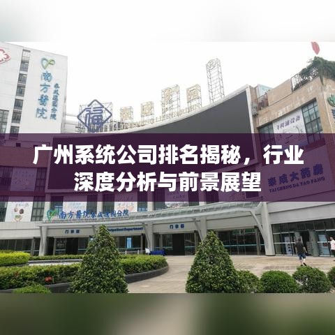 廣州系統公司排名揭秘,行業深度分析與前景展望