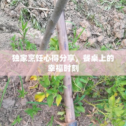 獨家烹飪心得分享,餐桌上的幸福時刻