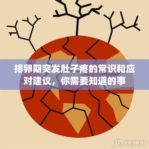 排卵期突發肚子疼的常識和應對建議,你需要知道的事