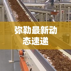 彌勒最新動態速遞