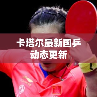 卡塔爾最新國乒動態更新