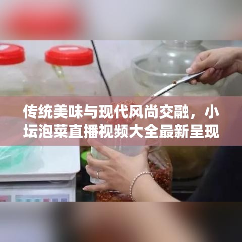 傳統美味與現代風尚交融,小壇泡菜直播視頻大全最新呈現