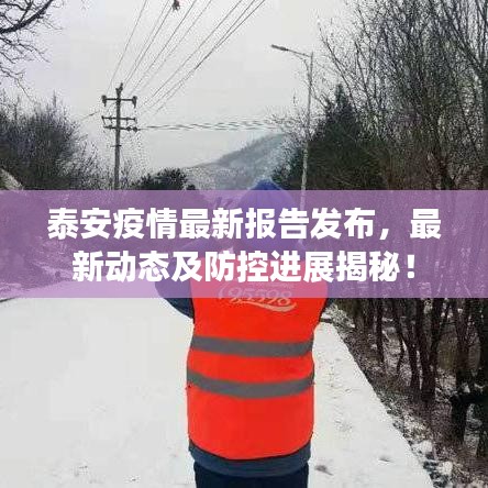 泰安疫情最新報告發布，最新動態及防控進展揭秘！