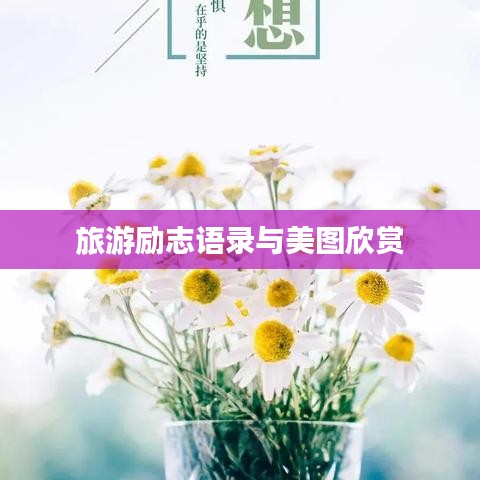 旅游勵志語錄與美圖欣賞