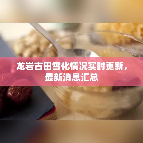 龍巖古田雪化情況實時更新,最新消息匯總