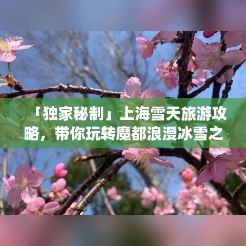 「獨家秘制」上海雪天旅游攻略,帶你玩轉魔都浪漫冰雪之旅!