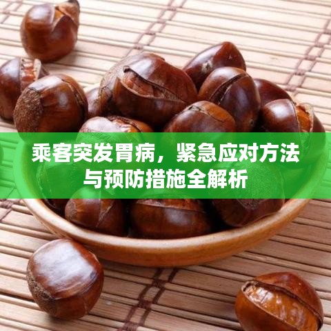 乘客突發(fā)胃病,緊急應(yīng)對(duì)方法與預(yù)防措施全解析