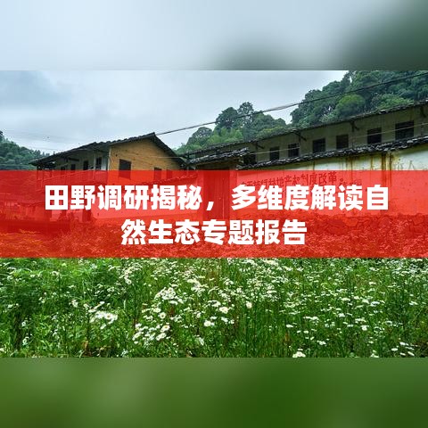 田野調研揭秘,多維度解讀自然生態專題報告