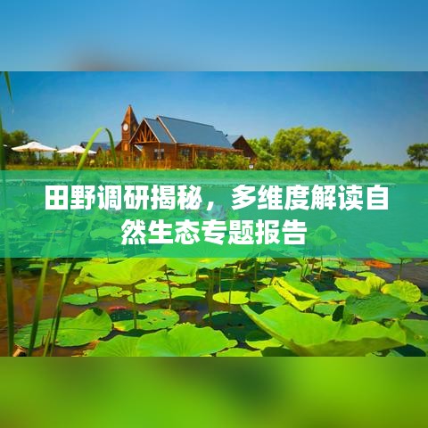 田野調研揭秘,多維度解讀自然生態專題報告