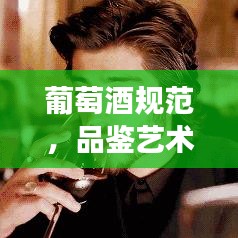 葡萄酒規范,品鑒藝術、禮儀傳承與文化深度解讀