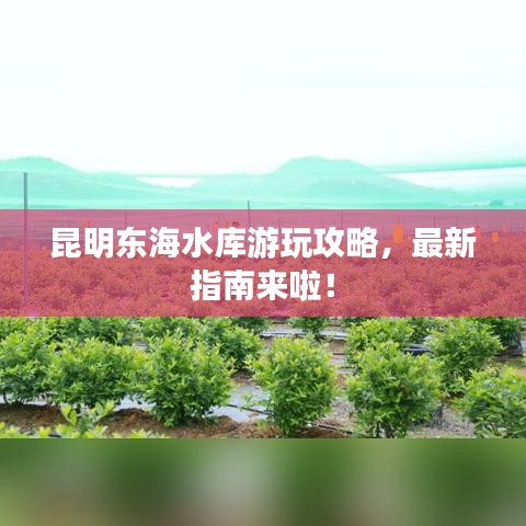 昆明東海水庫游玩攻略，最新指南來啦！