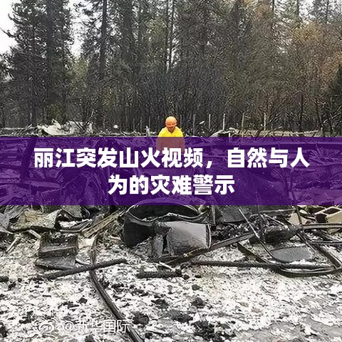 麗江突發(fā)山火視頻,自然與人為的災(zāi)難警示