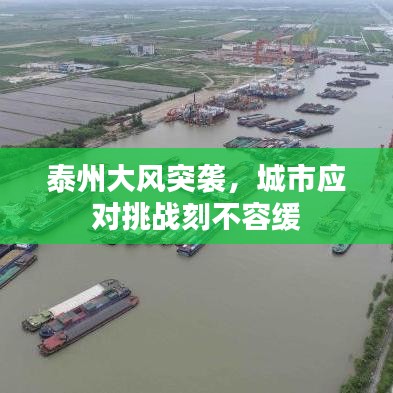 就樓磨刀 第2頁(yè)