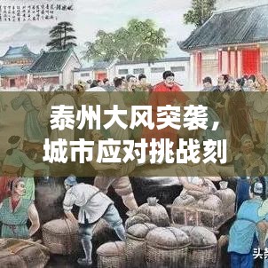 泰州大風突襲,城市應對挑戰刻不容緩