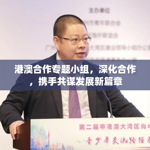 港澳合作專題小組,深化合作,攜手共謀發展新篇章