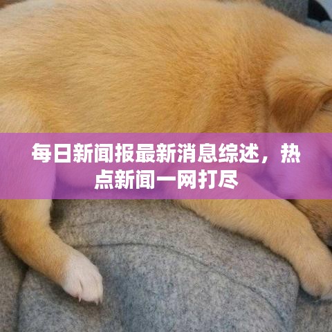 每日新聞報最新消息綜述，熱點新聞一網打盡